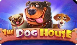Casino Alpino offre il gioco online The Dog House